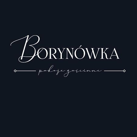Willa Borynówka Kazimierz Dolny Exterior foto